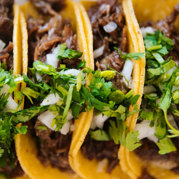 Taco Blando